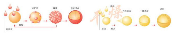 底喷流化床包衣制粒机应用
