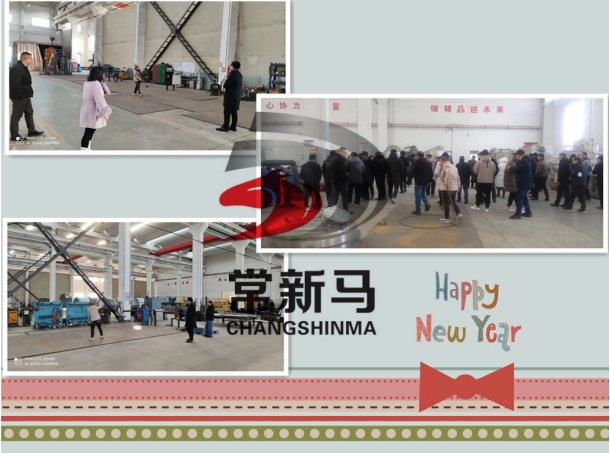 新马5.jpg